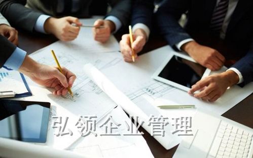 安徽弘領企業(yè)管理咨詢 賦能企業(yè)成長的智慧伙伴